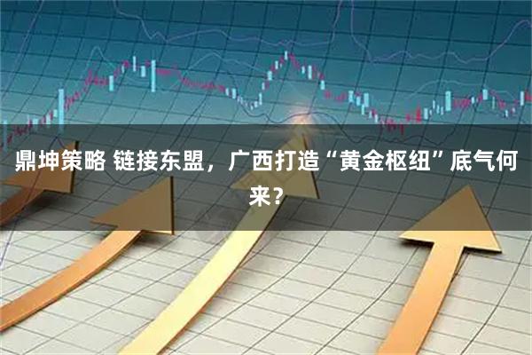 鼎坤策略 链接东盟，广西打造“黄金枢纽”底气何来？