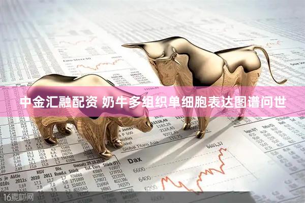 中金汇融配资 奶牛多组织单细胞表达图谱问世