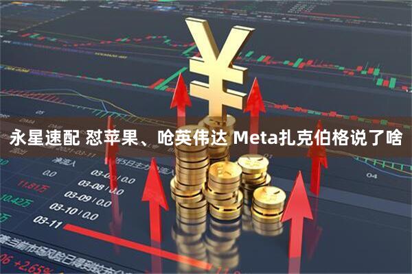 永星速配 怼苹果、呛英伟达 Meta扎克伯格说了啥