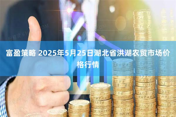 富盈策略 2025年5月25日湖北省洪湖农贸市场价格行情