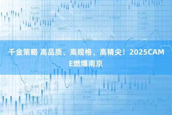 千金策略 高品质、高规格、高精尖！2025CAME燃爆南京