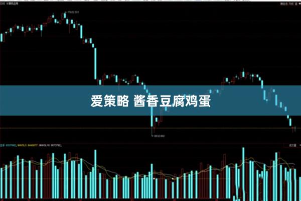 爱策略 酱香豆腐鸡蛋