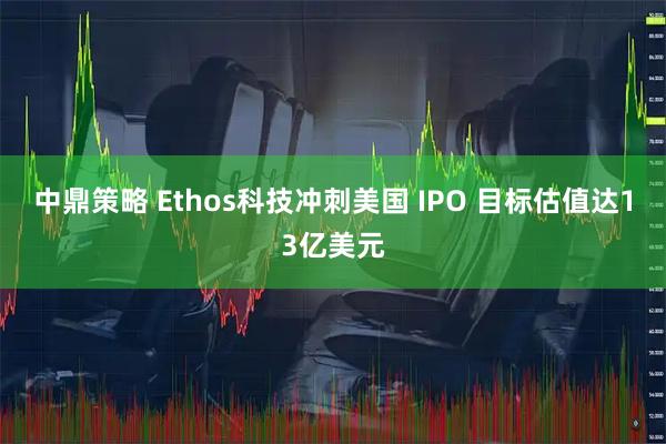 中鼎策略 Ethos科技冲刺美国 IPO 目标估值达13亿美元